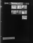 Man in Office (7 Negatives), January 11-12, 1967 [Sleeve 26, Folder b, Box 42]